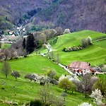 Maison Pittoresque à Sainte-croix-aux-mines, Vue Sur La Montagne