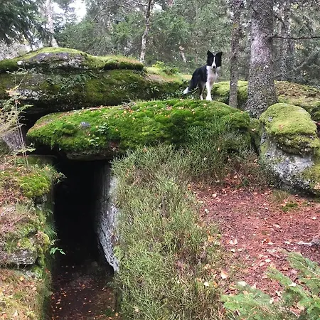 Maison Pittoresque A Sainte-croix-aux-mines, Vue Sur La Montagne