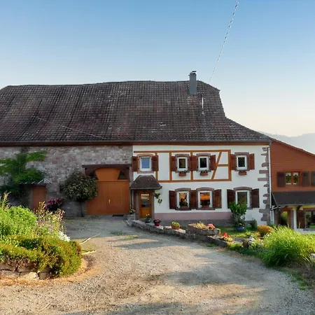 Holiday home Maison Pittoresque A Sainte-croix-aux-mines, Vue Sur La Montagne