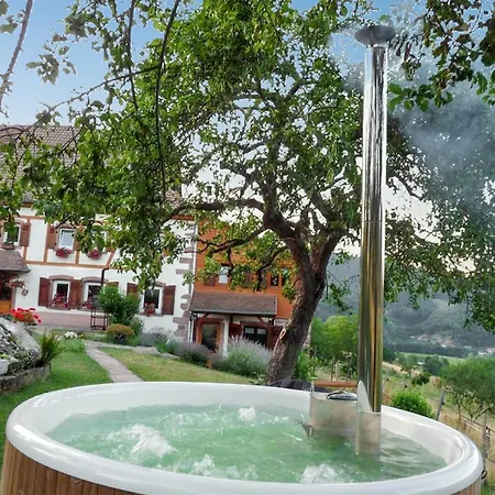 Holiday home Maison Pittoresque A Sainte-croix-aux-mines, Vue Sur La Montagne *
