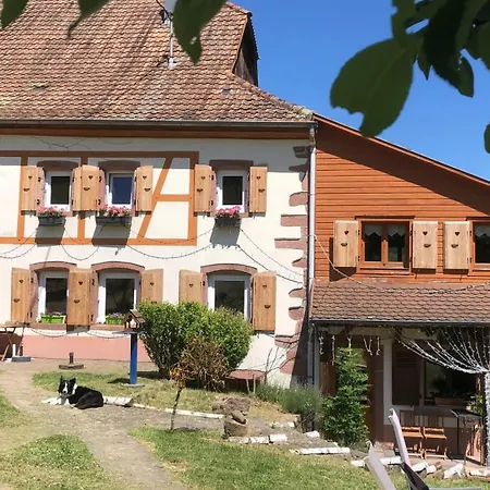 Vakantiehuis Maison Pittoresque A Sainte-croix-aux-mines, Vue Sur La Montagne