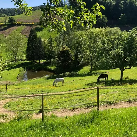 Maison Pittoresque A Sainte-croix-aux-mines, Vue Sur La Montagne 別荘 Sainte-Croix-aux-Mines