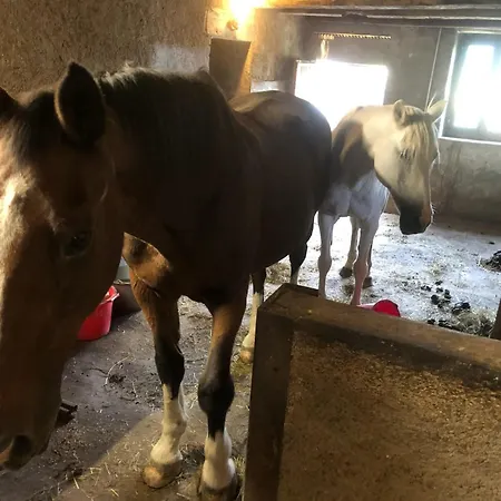 別荘 Maison Pittoresque A Sainte-croix-aux-mines, Vue Sur La Montagne