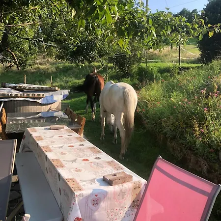 別荘 Maison Pittoresque A Sainte-croix-aux-mines, Vue Sur La Montagne *