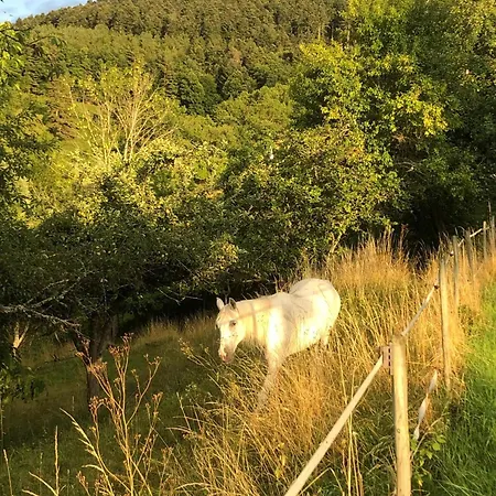 Maison Pittoresque A Sainte-croix-aux-mines, Vue Sur La Montagne Sainte-Croix-aux-Mines