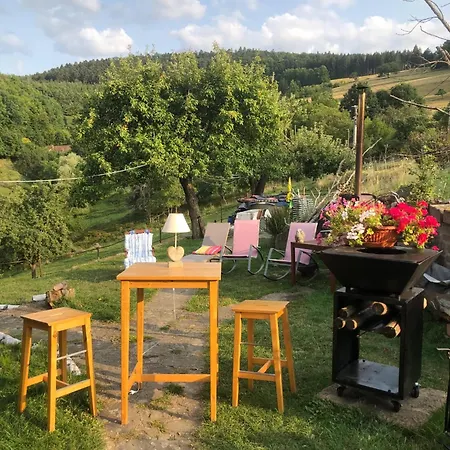 別荘 Maison Pittoresque A Sainte-croix-aux-mines, Vue Sur La Montagne Sainte-Croix-aux-Mines