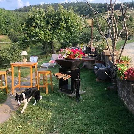 Maison Pittoresque A Sainte-croix-aux-mines, Vue Sur La Montagne * Sainte-Croix-aux-Mines