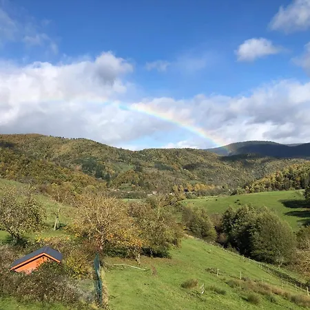 Maison Pittoresque A Sainte-croix-aux-mines, Vue Sur La Montagne * Sainte-Croix-aux-Mines