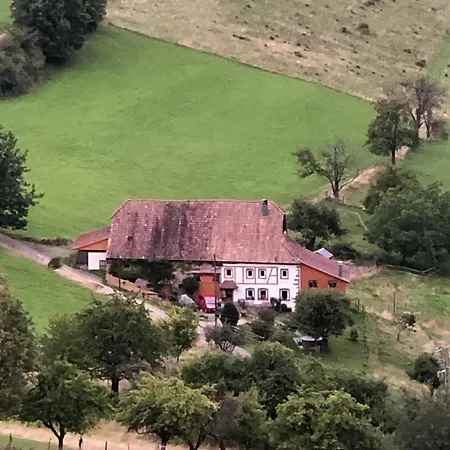 Vakantiehuis Maison Pittoresque A Sainte-croix-aux-mines, Vue Sur La Montagne Sainte-Croix-aux-Mines