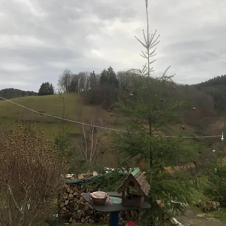 Maison Pittoresque A Sainte-croix-aux-mines, Vue Sur La Montagne