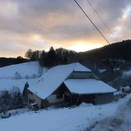 펜션 Maison Pittoresque A Sainte-croix-aux-mines, Vue Sur La Montagne Sainte-Croix-aux-Mines