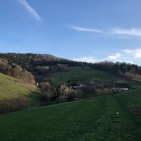 Maison Pittoresque A Sainte-croix-aux-mines, Vue Sur La Montagne Sainte-Croix-aux-Mines