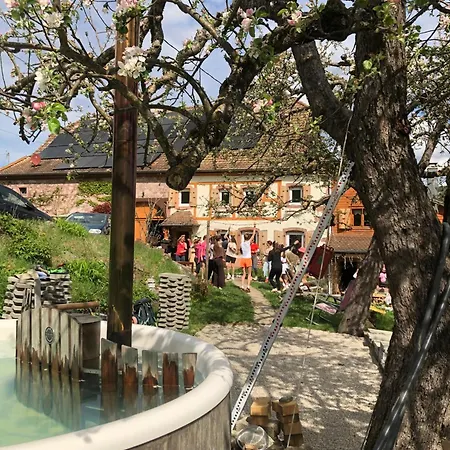 Vakantiehuis Maison Pittoresque A Sainte-croix-aux-mines, Vue Sur La Montagne *