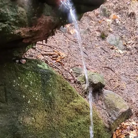 Maison Pittoresque A Sainte-croix-aux-mines, Vue Sur La Montagne Vakantiehuis *