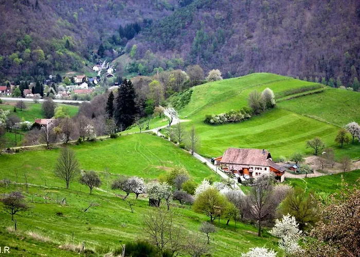 Maison Pittoresque A Sainte-croix-aux-mines, Vue Sur La Montagne