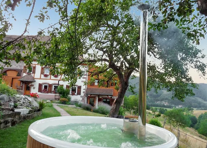 Vakantiehuis Maison Pittoresque A Sainte-croix-aux-mines, Vue Sur La Montagne *