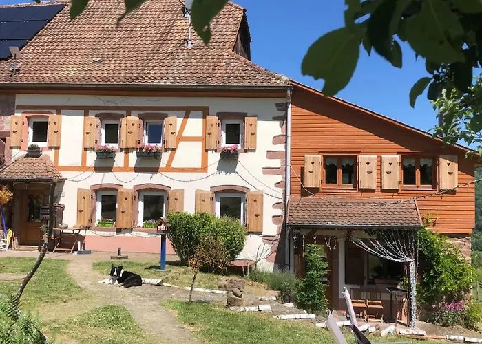 Vakantiehuis Maison Pittoresque A Sainte-croix-aux-mines, Vue Sur La Montagne