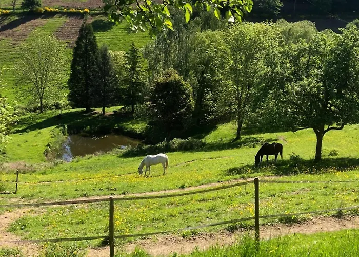 Maison Pittoresque A Sainte-croix-aux-mines, Vue Sur La Montagne Vakantiehuis Sainte-Croix-aux-Mines
