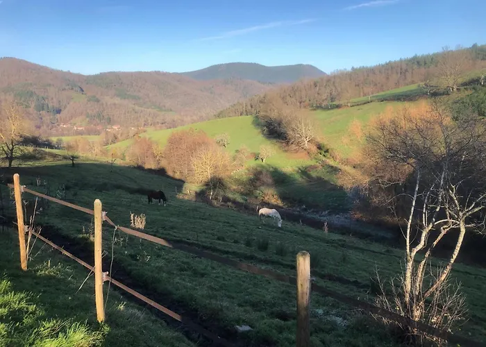 Maison Pittoresque A Sainte-croix-aux-mines, Vue Sur La Montagne
