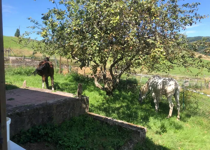 Maison Pittoresque à Sainte-croix-aux-mines, Vue Sur La Montagne