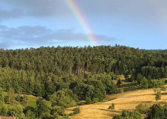 Maison Pittoresque A Sainte-croix-aux-mines, Vue Sur La Montagne *