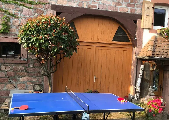 Vakantiehuis Maison Pittoresque A Sainte-croix-aux-mines, Vue Sur La Montagne *
