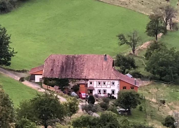 Vakantiehuis Maison Pittoresque A Sainte-croix-aux-mines, Vue Sur La Montagne Sainte-Croix-aux-Mines