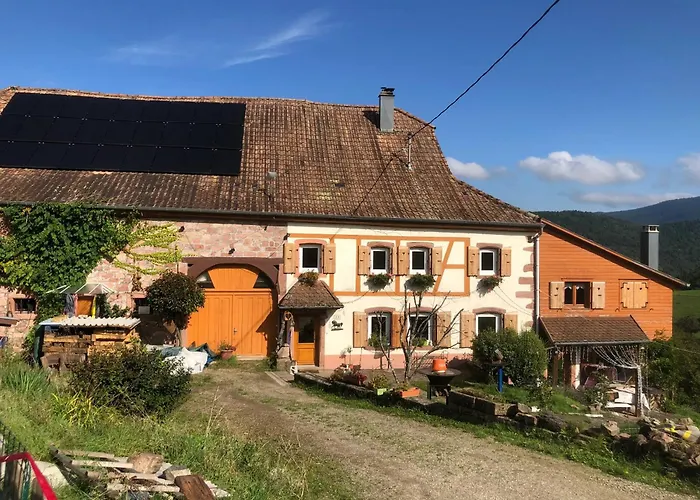 Maison Pittoresque A Sainte-croix-aux-mines, Vue Sur La Montagne Vakantiehuis