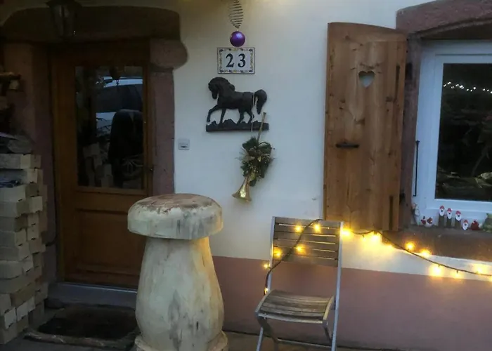 Maison Pittoresque A Sainte-croix-aux-mines, Vue Sur La Montagne Vakantiehuis