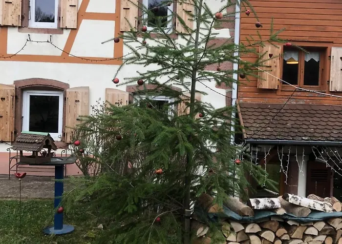 Maison Pittoresque A Sainte-croix-aux-mines, Vue Sur La Montagne Vakantiehuis