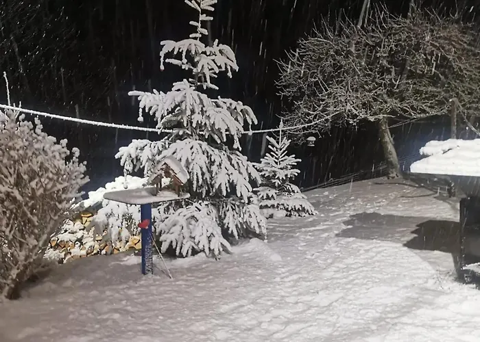 Maison Pittoresque à Sainte-croix-aux-mines, Vue Sur La Montagne Casa de Férias