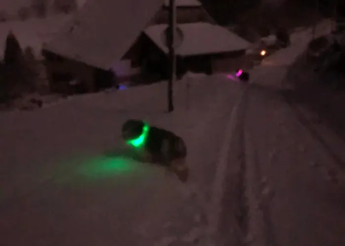 Casa de Férias Maison Pittoresque à Sainte-croix-aux-mines, Vue Sur La Montagne *