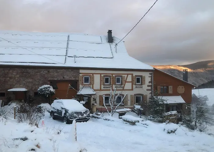 Maison Pittoresque A Sainte-croix-aux-mines, Vue Sur La Montagne Vakantiehuis Sainte-Croix-aux-Mines