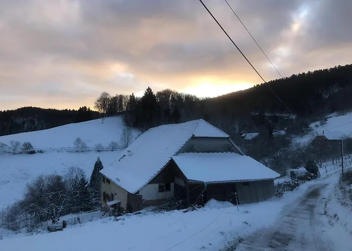 Casa de Férias Maison Pittoresque à Sainte-croix-aux-mines, Vue Sur La Montagne Sainte-Croix-aux-Mines