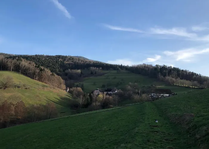 Maison Pittoresque A Sainte-croix-aux-mines, Vue Sur La Montagne Sainte-Croix-aux-Mines